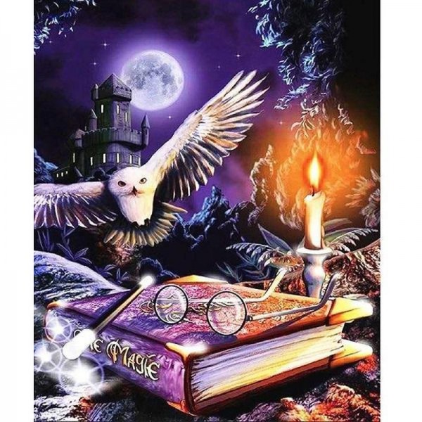 Harry Potter